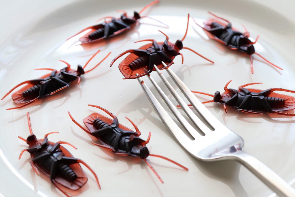 Accidental Entomophagy: Eating Bugs!